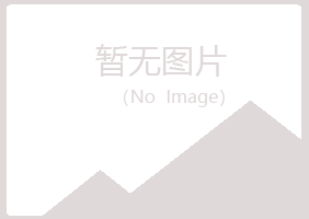 鹤岗小夏水泥有限公司